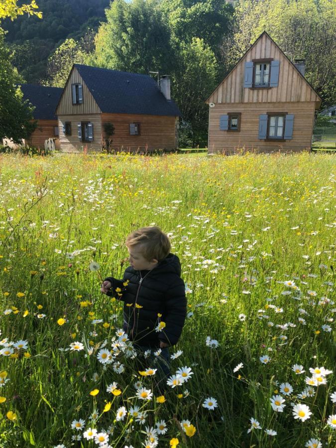 Les Chalets D'Arrens Dış mekan fotoğraf